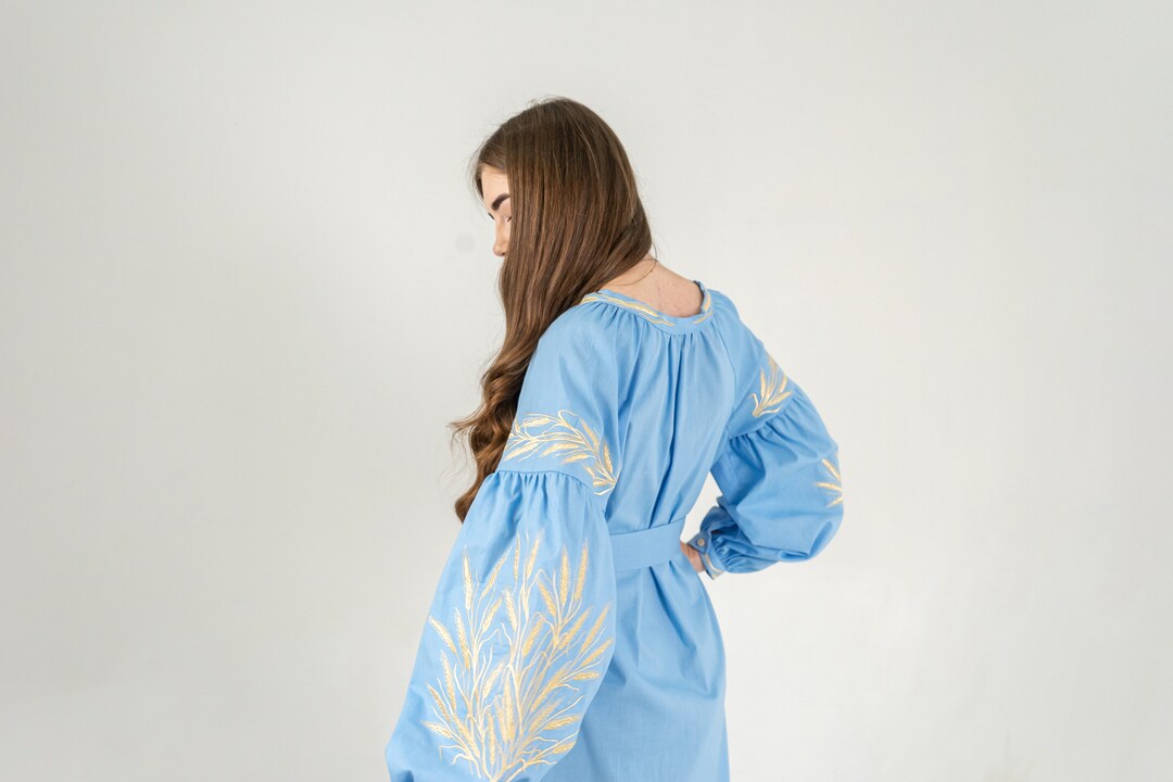 Dress with Red Embroidery | Women’s Vyshyvanka Goya Concept