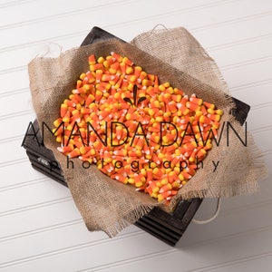digital backdrop candy corn composite