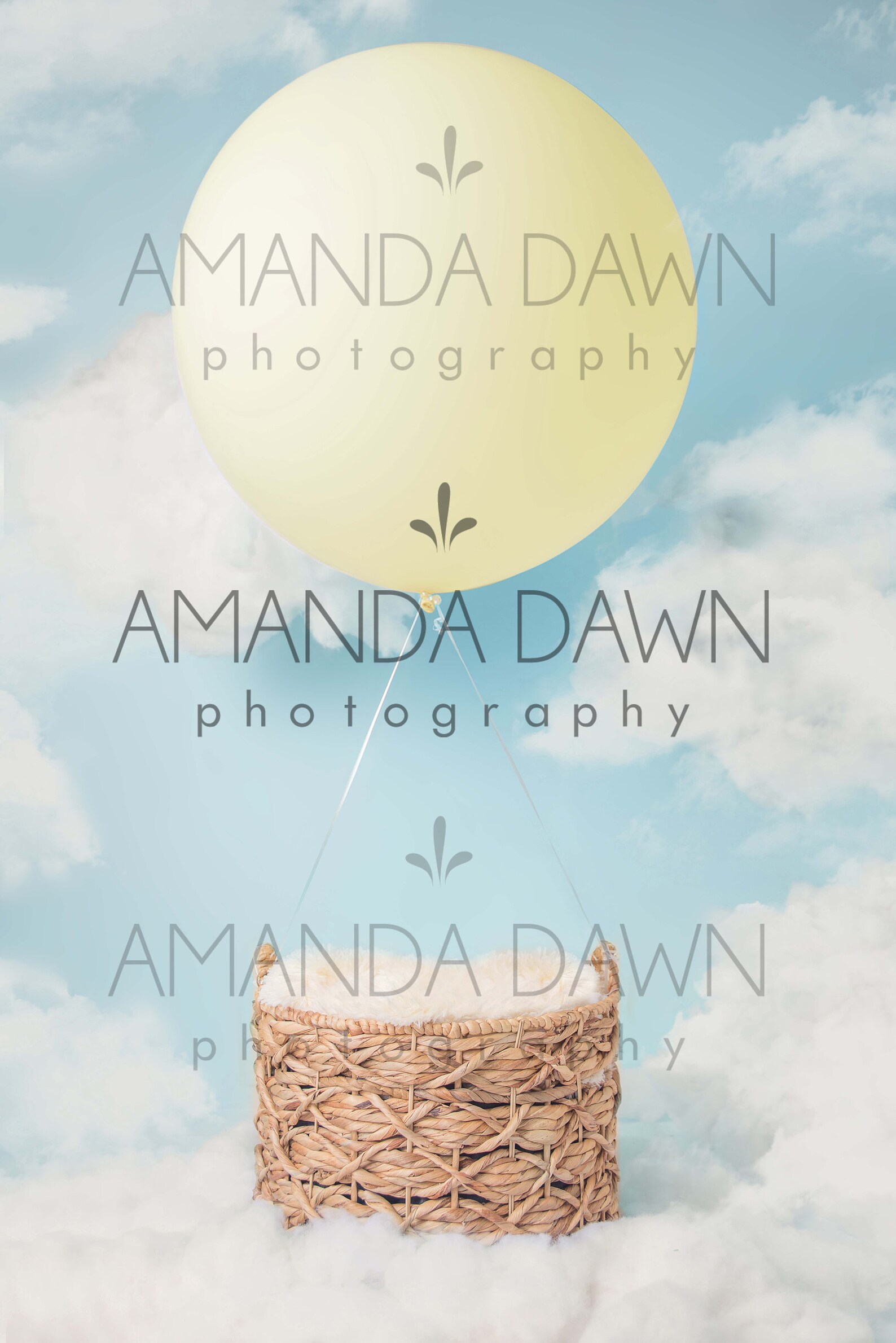 Hot Air Balloon Digital Backdrop Etsy