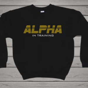 May include: Black sweatshirt with a gold "ALPHA IN TRAINING" graphic.