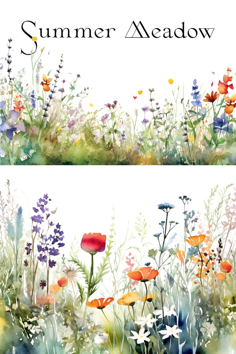 Summer Meadow Watercolor Floral Borders Wild Flowers Wedding Clipart ...
