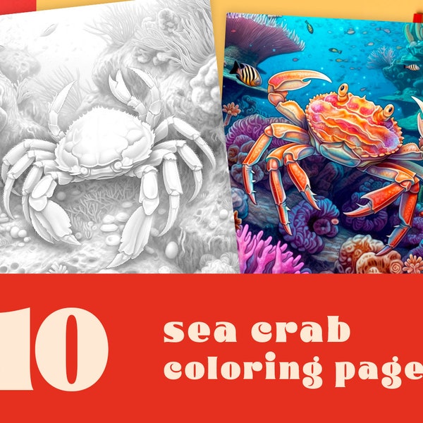 10 Photorealistic Crab Coloring Pages - Sea life, ocean life, underwater coloring, sea creatures, instant download, pdf coloring pages