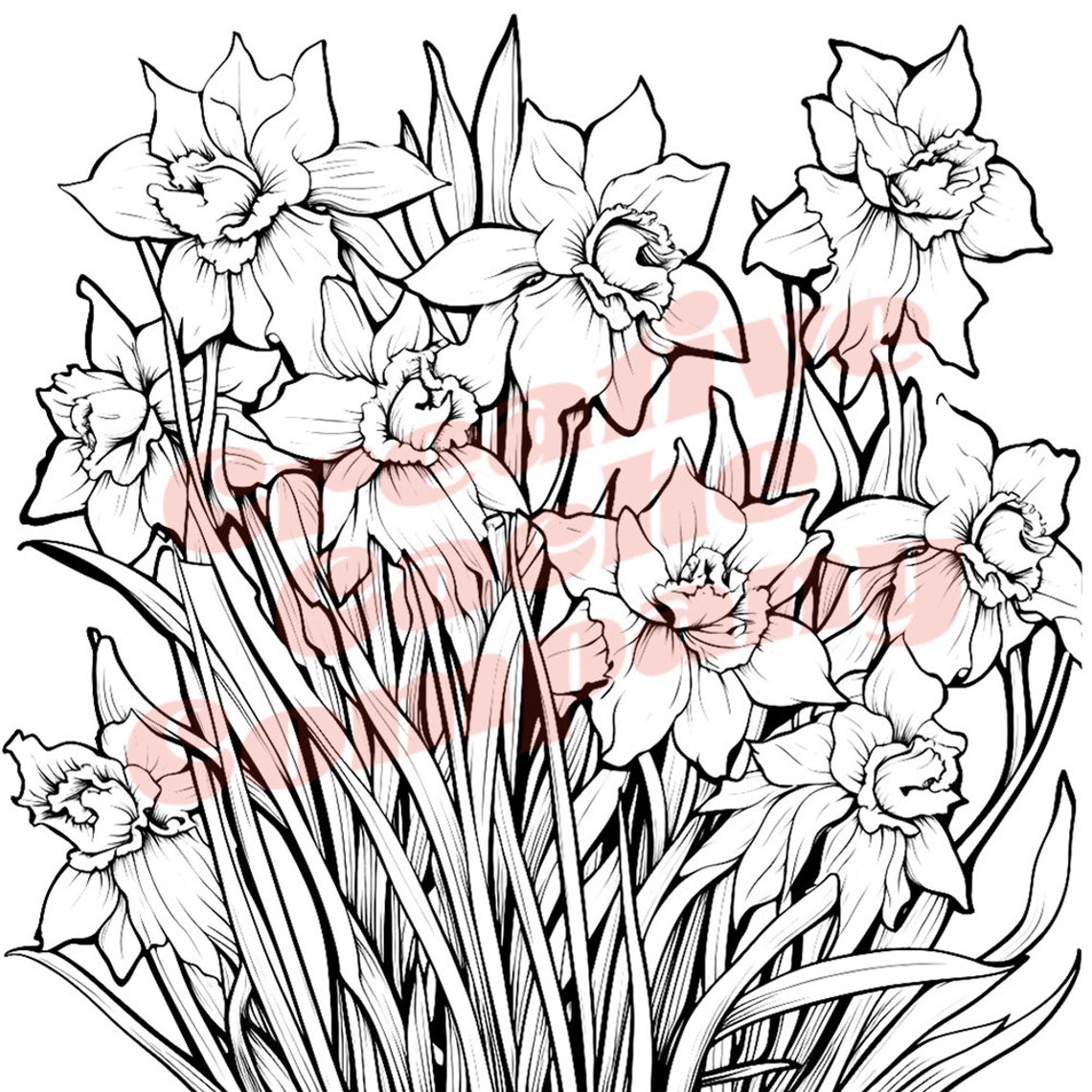 100 Printable Summer Flower Coloring Pages Bundle Sunflower, Daffodil