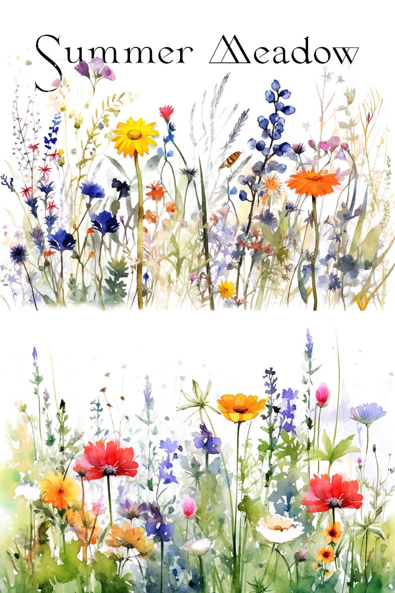 Summer Meadow Watercolor Floral Borders Wild Flowers Wedding Clipart ...