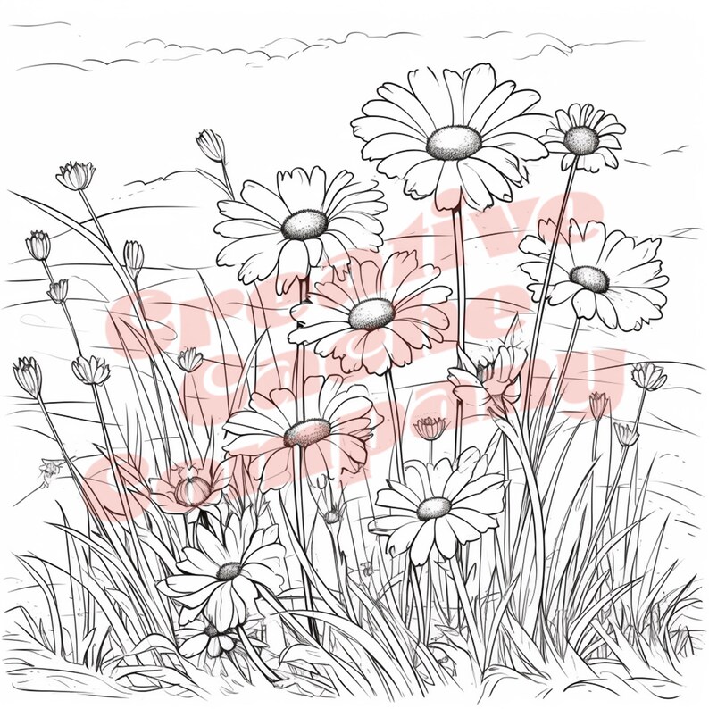 100 Printable Summer Flower Coloring Pages Bundle Sunflower, Daffodil