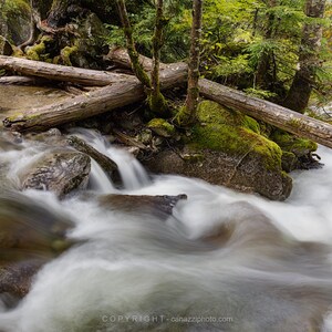 Wooded Waters / landscape color photograph, fine art, wall art, landscape photo, color photography, waterfall art, waterfall photo