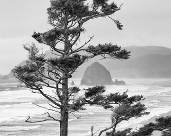 Misty Seascape Photo, Black and White Beach Print, Fine Art