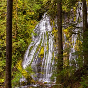 Forested Falls / landscape color photograph, fine art, wall art, landscape photo, color photography, waterfall art, waterfall photo