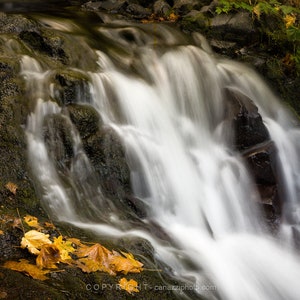 Whispering Waters / landscape color photograph, fine art, wall art, landscape photo, color photography, waterfall art, waterfall photo