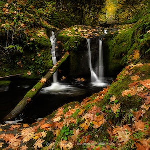 Leafy Falls / landscape color photograph, fine art, wall art, landscape photo, color photography, waterfall art, waterfall photo