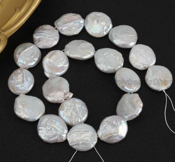 Perles Disque En Coquillage Naturel 20 Mm - Lot De 19 Unités, Vert