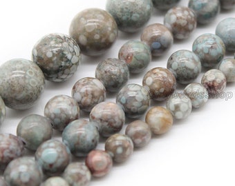 May include: A strand of round, light blue, brown, and white agate beads with a mottled pattern. The beads are strung on a clear thread.