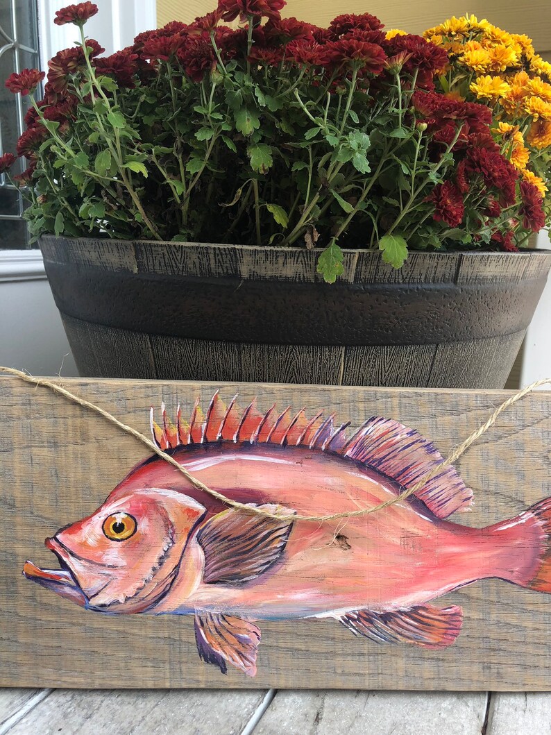 Red Fish ocean perch on reclaimed wood