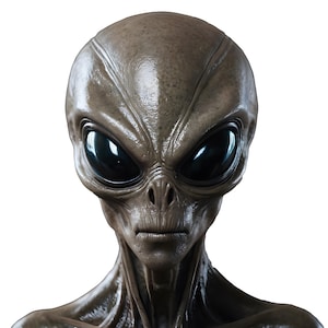 Alien Head Bust STL File for 3D Printer 3D Print Model. Commercial Use