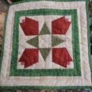 May include: A square quilt with a central star and floral design. The quilt features red and green floral patterns on a cream background, framed by a green border. The quilt is likely handmade.