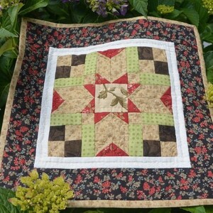 May include: A small, square quilt with a central star design. The quilt features a white border, a floral patterned outer border, and a patchwork design in shades of tan, green, red, and brown. The quilt is surrounded by green foliage and flowers.