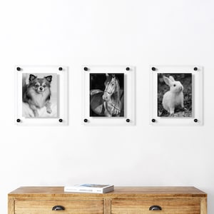 Clear Floating Acrylic Frame for Photos | Minimalist Wall Art | Gallery Wall Frame | Diploma Frame | Polished Edge Acrylic Frame