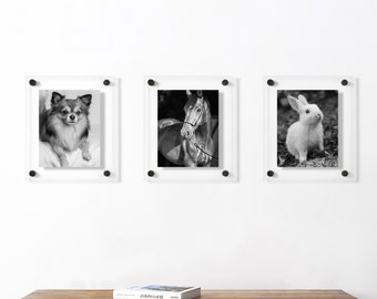 Clear Floating Acrylic Frame for Photos | Minimalist Wall Art | Gallery Wall Frame | Diploma Frame | Polished Edge Acrylic Frame