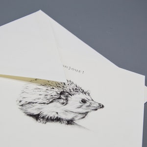 Carte de vœux illustrée de luxe - Hérisson - Illustration animale