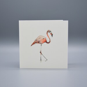 Der Flamingo Luxus Grußkarte