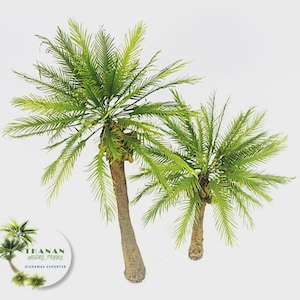 May include: Two artificial palm trees with green fronds and textured brown trunks. The trees are of different sizes and are set against a white background. The image includes a logo with the text "THANAN MODEL TREES DIORAMAS EXPORTER".