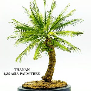 May include: A miniature Asia palm tree model with green fronds and a textured brown trunk. The model is set on a base of brown earth and a black circular stand. Text on the image reads "THANAN 1/35 ASIA PALM TREE."