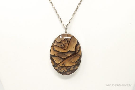 Vintage Unsigned Native American Large Picture Ja… - image 3