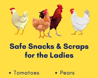 Safe Snacks for Chickens PDF