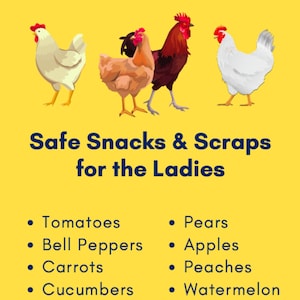 Safe Snacks for Chickens PDF image 1