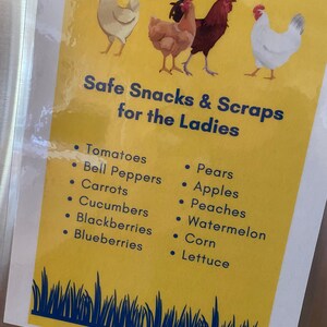 Safe Snacks for Chickens PDF image 2