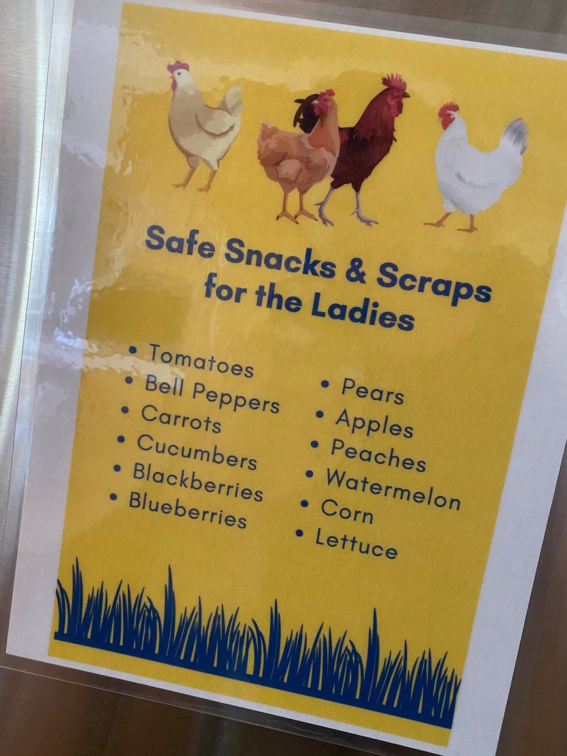 Safe Snacks for Chickens PDF image 2