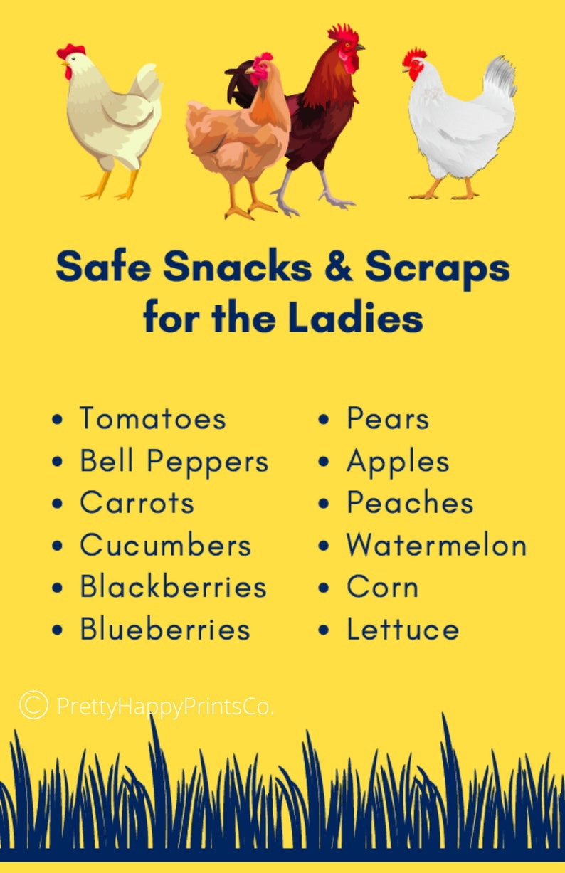 Safe Snacks for Chickens PDF image 1