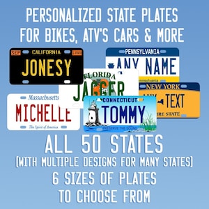 Personalized State Replica Bike Plates and License Plates 6 sizes to choose from All 50 States plus alternate state designs too.