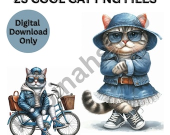 Clipart PNG de chats, motifs par sublimation (téléchargement numérique)