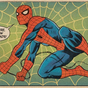May include: A comic book style illustration of a character in a red and blue suit with a web pattern, crouching on a yellow web background. A speech bubble contains the text HEY THERE, FELLOW WEB-HEADS! and a small label reads DAKOTA ALEXANDER ART.