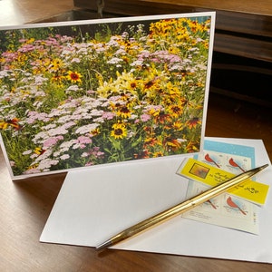 Garden Grows Wild, beaucoup de fleurs, fleurs, achillée millefeuille, lys, susans aux yeux bruns