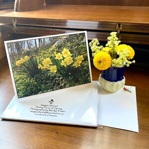 May include: A photograph of yellow daffodils on a white card, with a small blue and white vase holding yellow flowers. The card is part of a set with the text "Sunny Faces of Spring" and contact information.
