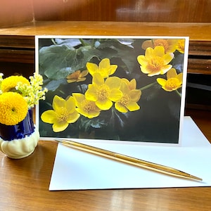 Souci des marais, fleur printanière des marais jaune vif, je pense à vous