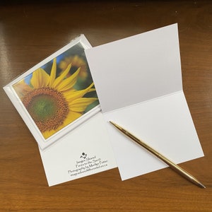 Ensemble de cartes de correspondance Sunny Faces - tournesol - photographie de nature - fleurs de jardin, pétales, été, correspondance, original - lot de quatre