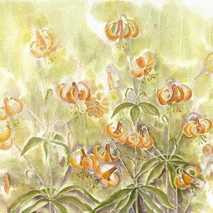 Carte de lys lanterne, aquarelle, peinture, nature, jardin, fleur, nature, jardinier, orange, pétales,