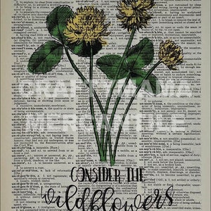 wildflowers