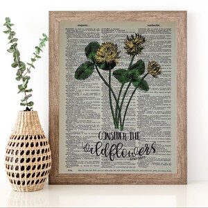 wildflowers consider