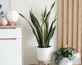 Neutral Bamboo Stripe Removable Wallpaper: Peel and Stick