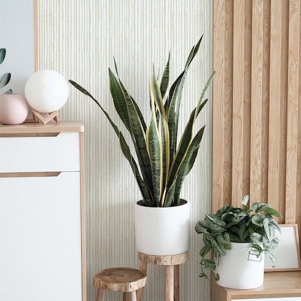 Neutral Striped Wallpaper | Bamboo Removable Wallpaper | Self Adhesive Natural Wall Paper | Muted Wallpaper | Subtle Peel Stick Wallpaper