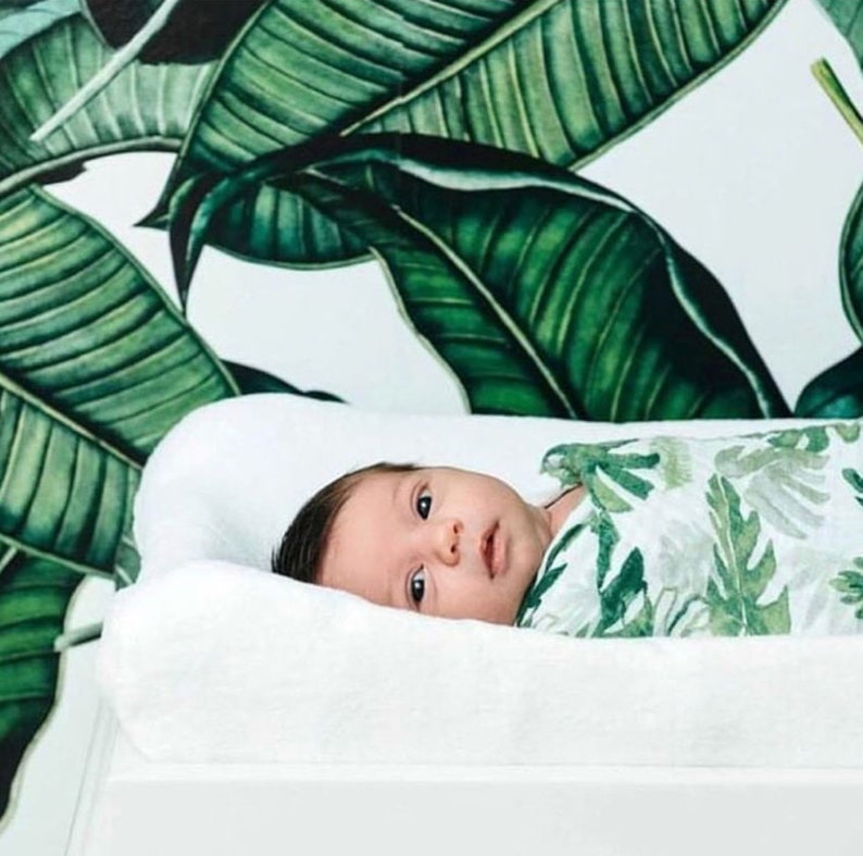 Big Banana Leaf Removable Wallpaper modern jungle style palm self adhesive wallpaper botanical temporary wallpaper B163-27