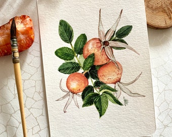 Hand-painted postcard - Rosehips - Greeting card