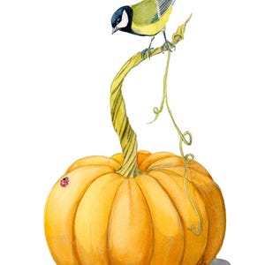 La carbonaia e la zucca - Acquarello originale - Formato 20,5/30
