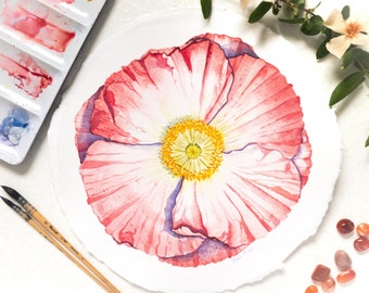 Iceland Poppy - Giant Flower Series - Original Watercolor