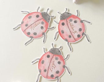 Personalised Ladybug Place Cards: Baby Shower, Garden Theme, Party Decor