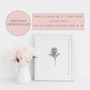 Druckbare Protea Print, herunterladbarer Blumendruck, Blumendruck, sofortiger digitaler Download, digitale Kunst, Wandkunst, Druck zu Hause